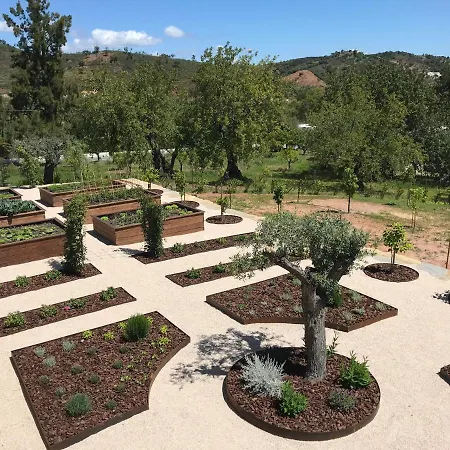 בית נופש Casa Olivia - Charming Renovated With Panoramic Views *